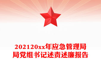 202120xx年應急管理局局黨組書記述責述廉報告