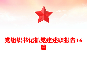 黨組織書記抓黨建述職報(bào)告16篇