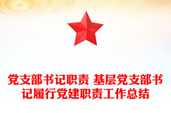 黨支部書記職責 基層黨支部書記履行黨建職責工作總結