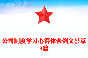 公司制度學(xué)習(xí)心得體會例文薈萃3篇