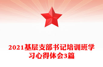 2021基層支部書記培訓班學習心得體會3篇