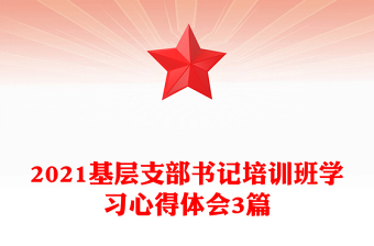2021基層支部書記培訓(xùn)班學(xué)習(xí)心得體會(huì)3篇