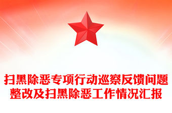 掃黑除惡專項行動巡察反饋問題整改及掃黑除惡工作情況匯報