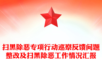 掃黑除惡專項行動巡察反饋問題整改及掃黑除惡工作情況匯報