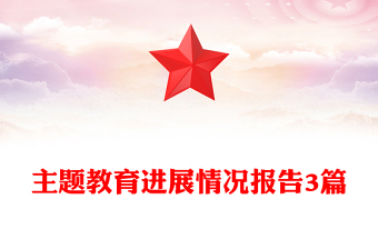 主題教育進(jìn)展情況報告3篇
