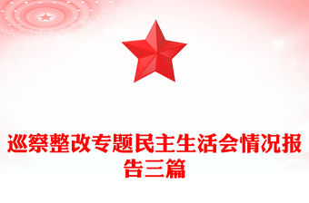 巡察整改專題民主生活會情況報告三篇