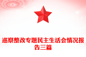 巡察整改專題民主生活會情況報告三篇