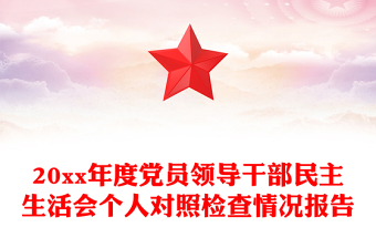 20xx年度黨員領導干部民主生活會個人對照檢查情況報告