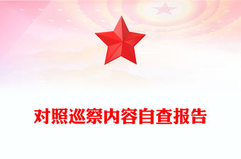 對照巡察內容自查報告