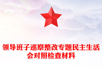 領導班子巡察整改專題民主生活會對照檢查材料