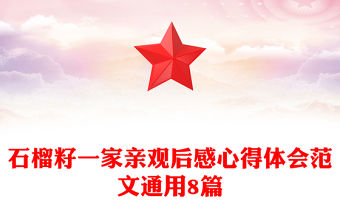 石榴籽一家親觀后感心得體會范文通用8篇