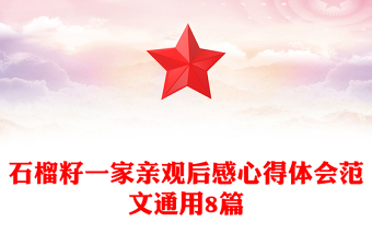 石榴籽一家親觀后感心得體會范文通用8篇