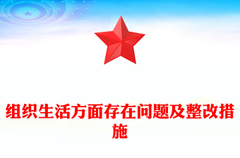 組織生活方面存在問題及整改措施