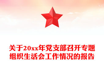 關(guān)于20xx年黨支部召開專題組織生活會(huì)工作情況的報(bào)告
