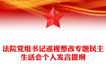 法院黨組書記巡視整改專題民主生活會(huì)個(gè)人發(fā)言提綱