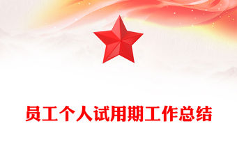 員工個人試用期工作總結