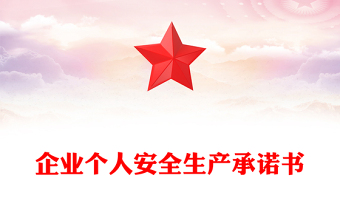 企業(yè)個(gè)人安全生產(chǎn)承諾書