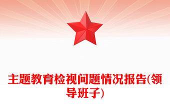 2021安信證券支部委員會檢視問題情況