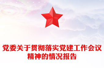 黨委關(guān)于貫徹落實黨建工作會議精神的情況報告