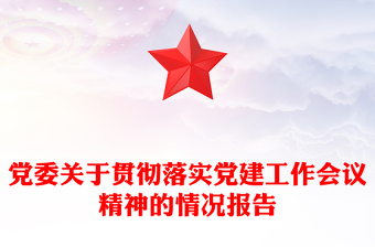 黨委關(guān)于貫徹落實(shí)黨建工作會議精神的情況報(bào)告