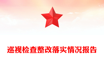 巡視檢查整改落實(shí)情況報(bào)告