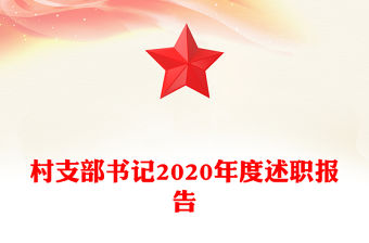 村支部書記2020年度述職報告