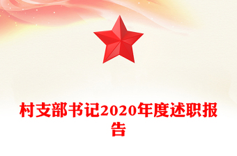 村支部書記2020年度述職報(bào)告