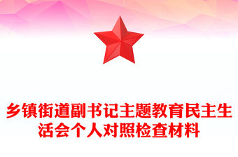 鄉鎮街道副書記主題教育民主生活會個人對照檢查材料