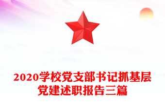 2020學(xué)校黨支部書記抓基層黨建述職報(bào)告三篇
