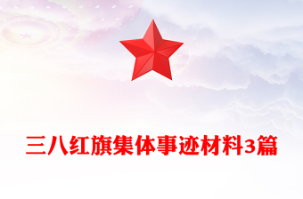 三八紅旗集體事跡材料3篇