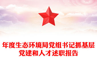 年度生態環境局黨組書記抓基層黨建和人才述職報告