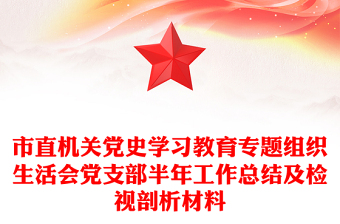 市直機(jī)關(guān)黨史學(xué)習(xí)教育專題組織生活會(huì)黨支部半年工作總結(jié)及檢視剖析材料