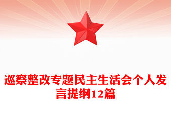巡察整改專題民主生活會個人發言提綱12篇