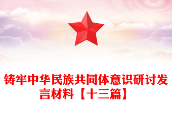 鑄牢中華民族共同體意識研討發(fā)言材料【十三篇】