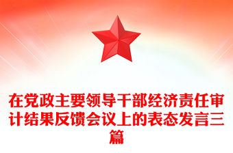 在黨政主要領導干部經濟責任審計結果反饋會議上的表態發言三篇