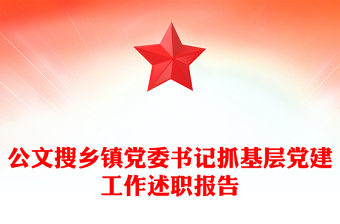 公文搜鄉(xiāng)鎮(zhèn)黨委書記抓基層黨建工作述職報告