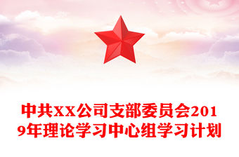 中共XX公司支部委員會(huì)2019年理論學(xué)習(xí)中心組學(xué)習(xí)計(jì)劃