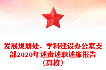 發(fā)展規(guī)劃處、學(xué)科建設(shè)辦公室支部2020年述責(zé)述職述廉報(bào)告（高校）