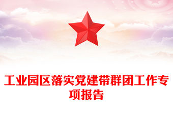 工業園區落實黨建帶群團工作專項報告