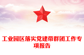 工業(yè)園區(qū)落實(shí)黨建帶群團(tuán)工作專項(xiàng)報(bào)告