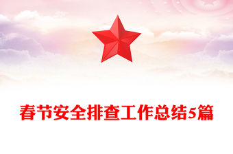 春節安全排查工作總結5篇