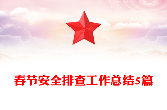 春節(jié)安全排查工作總結(jié)5篇
