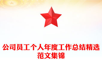 公司員工個人年度工作總結(jié)精選范文集錦