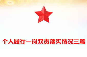 個人履行一崗雙責落實情況三篇