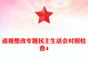 巡視整改專題民主生活會對照檢查4