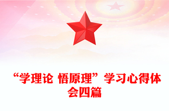 “學理論 悟原理”學習心得體會四篇