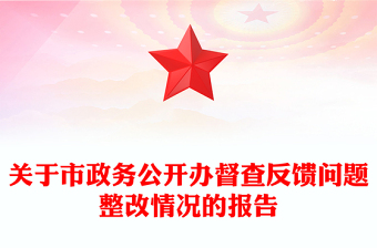 關(guān)于市政務(wù)公開辦督查反饋問題整改情況的報告