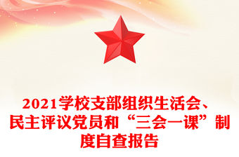 2021學校支部組織生活會、民主評議黨員和“三會一課”制度自查報告