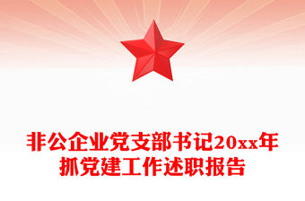 非公企業黨支部書記20xx年抓黨建工作述職報告