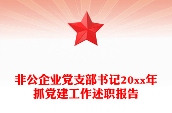 非公企業(yè)黨支部書(shū)記20xx年抓黨建工作述職報(bào)告